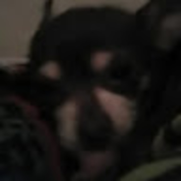 kearacampbelln
